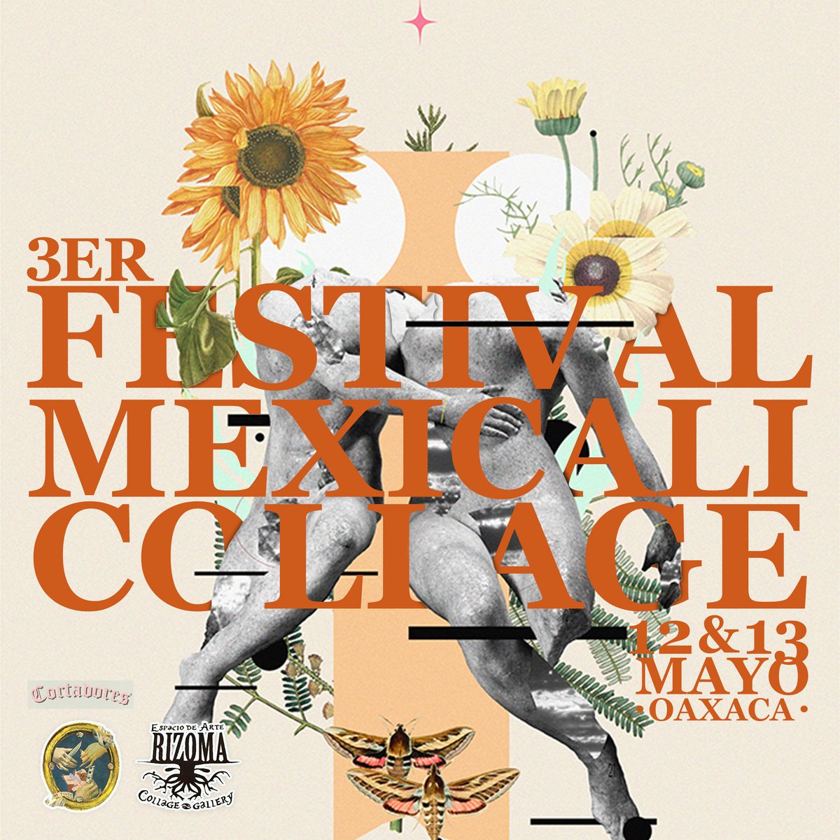 Francisco Toro- Collage tweet media