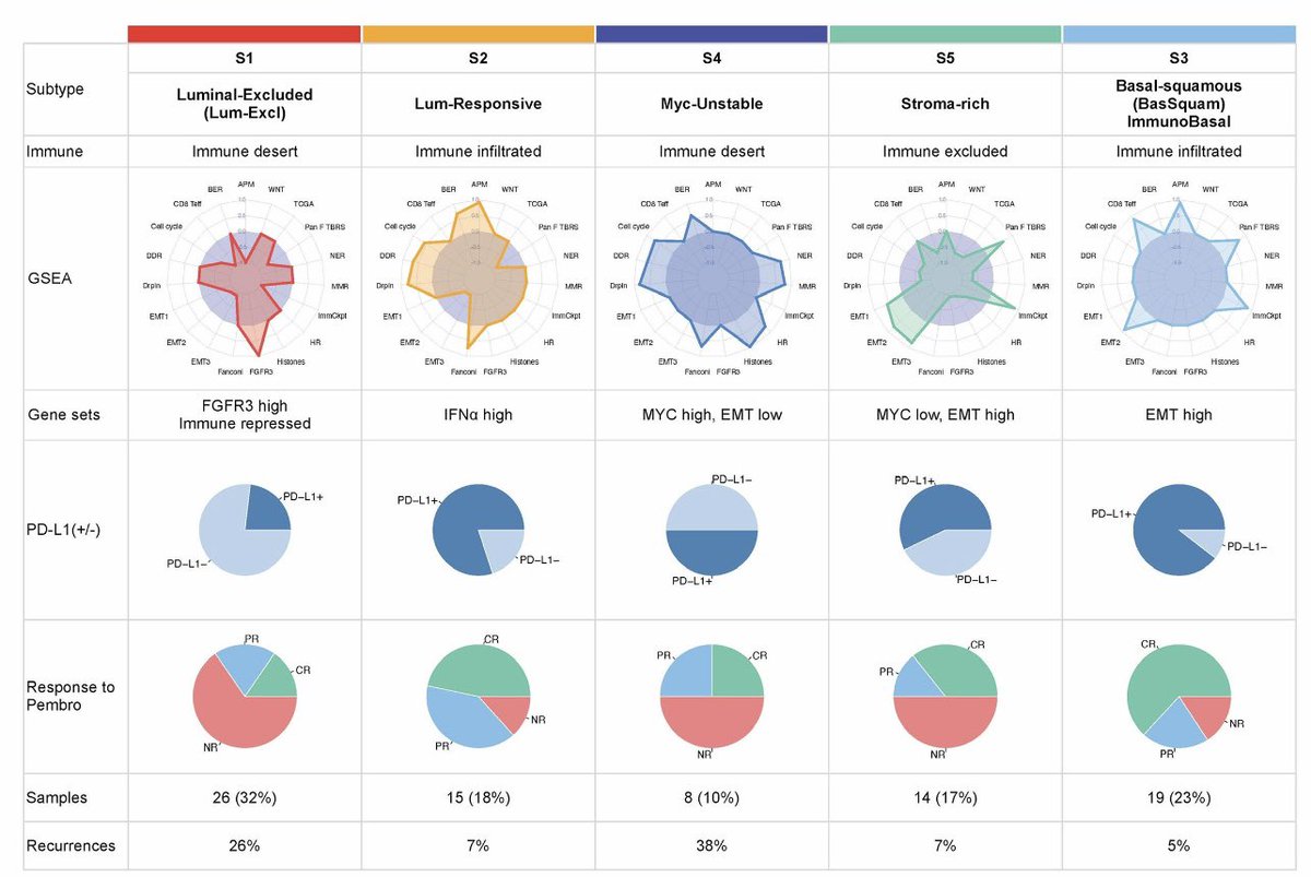 Uromigos's tweet photo. Paper of the month: @JoshMeeks develops 5 subgroups based on RNA signatures to predict response a PD(L)1  in urothelial cancer (figure bellow). Multiple mechanisms of response/resistant creates a complex picture which Josh simplifies . https://t.co/C26GZ31dYn https://t.co/IQ5nBD3CKA