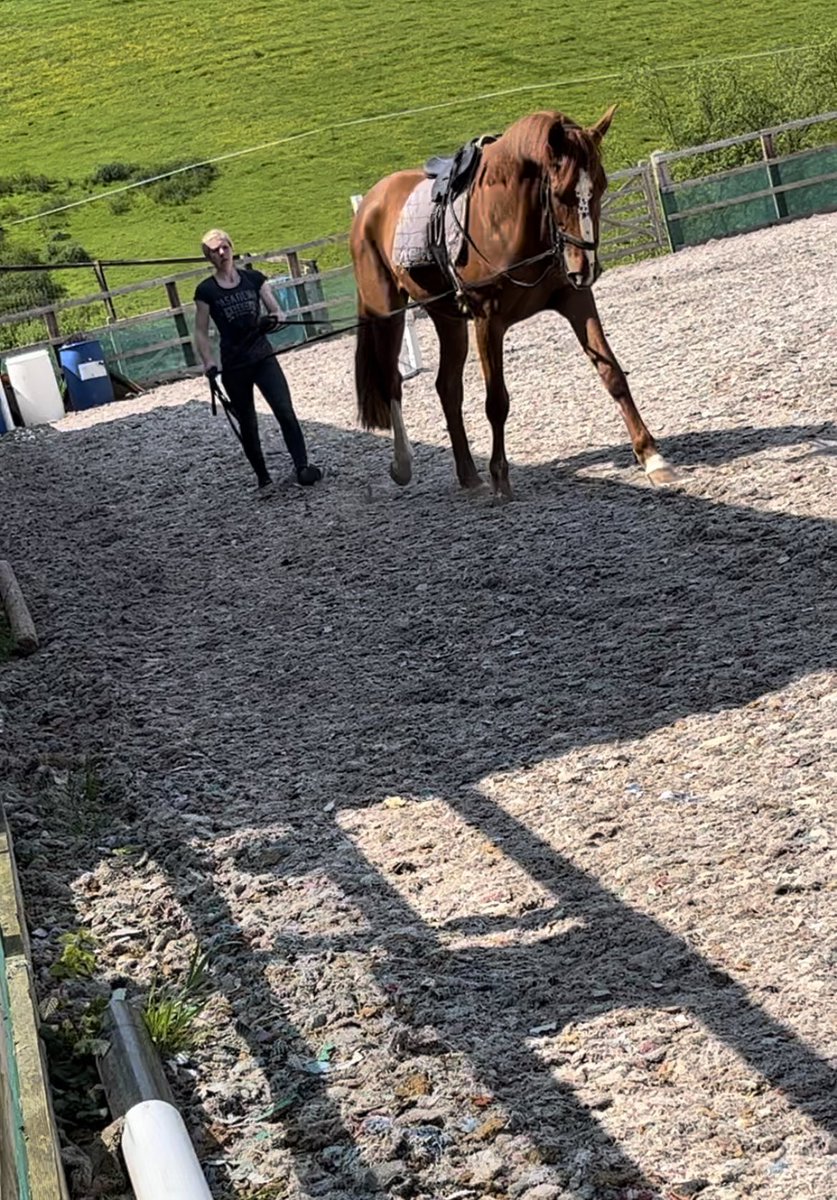 Ian Chanin Racing tweet media