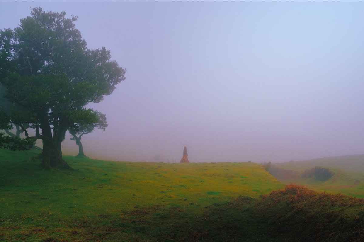 Some recent photography I’ve done in nature