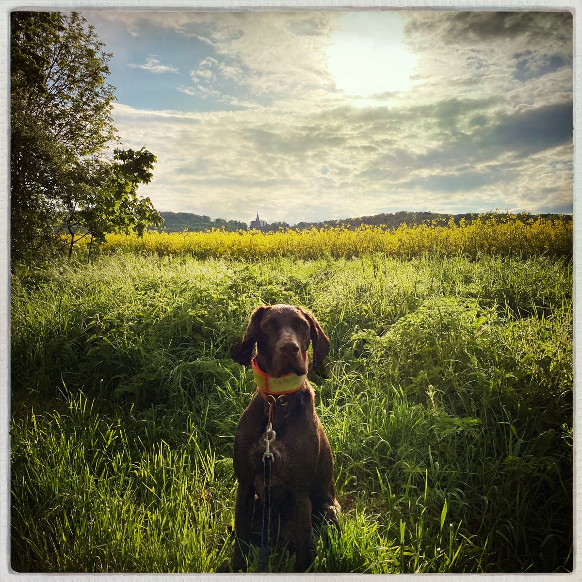 digprof's tweet image. Just a walk in the neighborhood. #Kassel is such an underrated city. World Heritage site in the back, pure joy for life in the front.