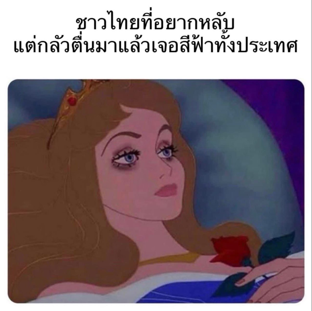 _cchoot's tweet image. เอาเลย เราไหว