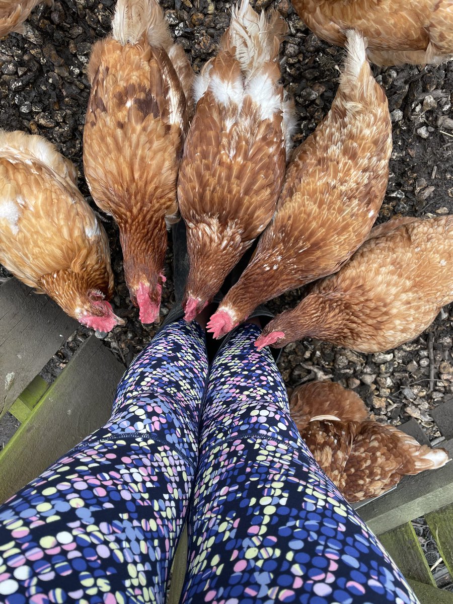 ⁦<a href="/sweatybetty/">Sweaty Betty</a>⁩ their favourite pattern