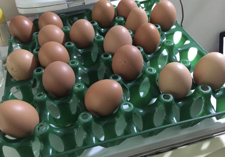 I don surprise this Eggs they nor know who b next🤣🤣 na so this life Dy just trust God process.