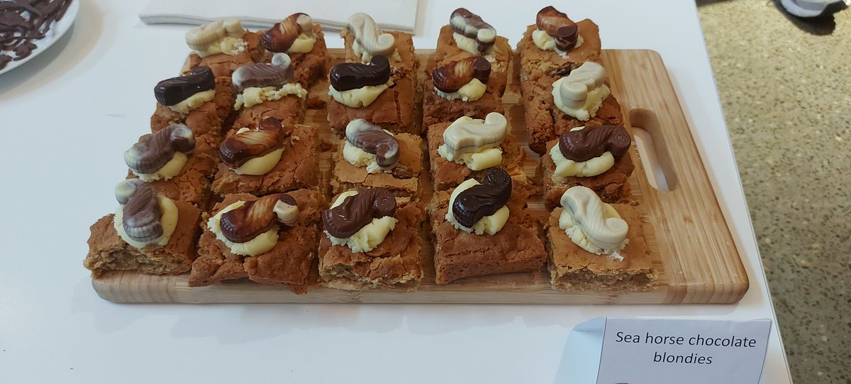 EmilyRBeasley's tweet photo. Flanagan lab syngnathid goodies from the SBS bake off 🐟🍰 https://t.co/yiCDMzHAcy
