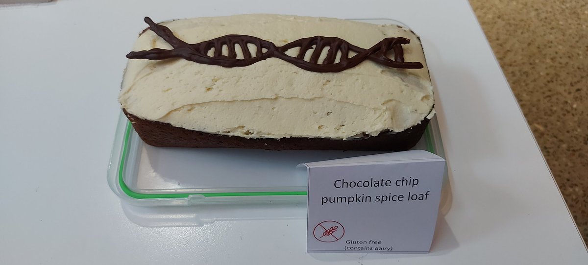 EmilyRBeasley's tweet photo. Flanagan lab syngnathid goodies from the SBS bake off 🐟🍰 https://t.co/yiCDMzHAcy