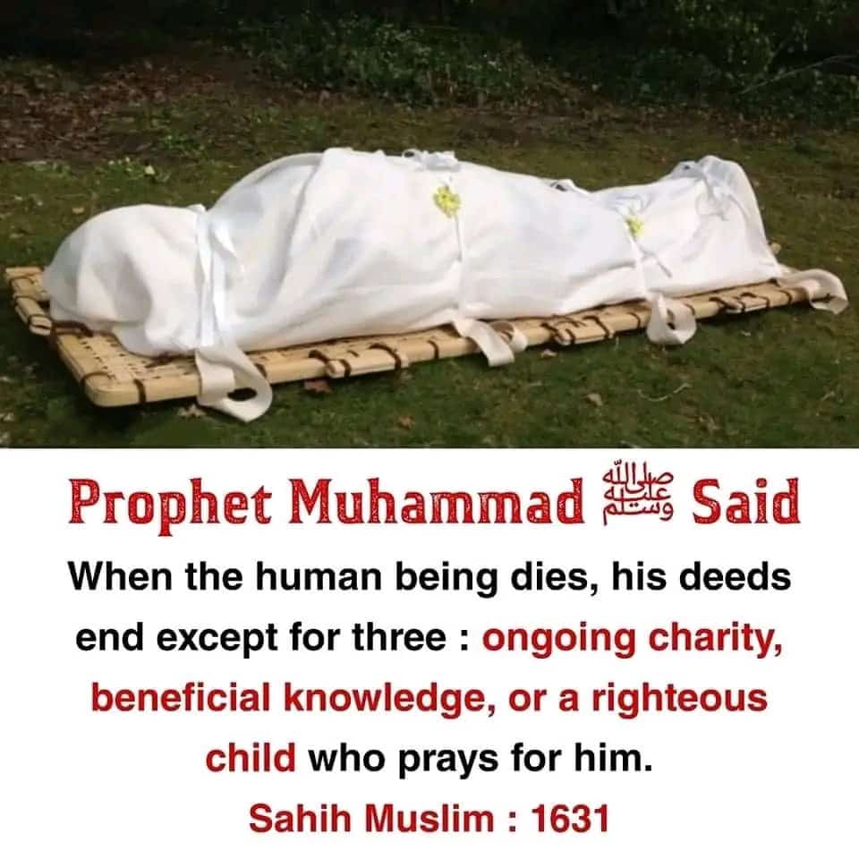 siyamaaaaa's tweet photo. Today's Hadith. How many Retweets? https://t.co/2WeYbHbrIQ
