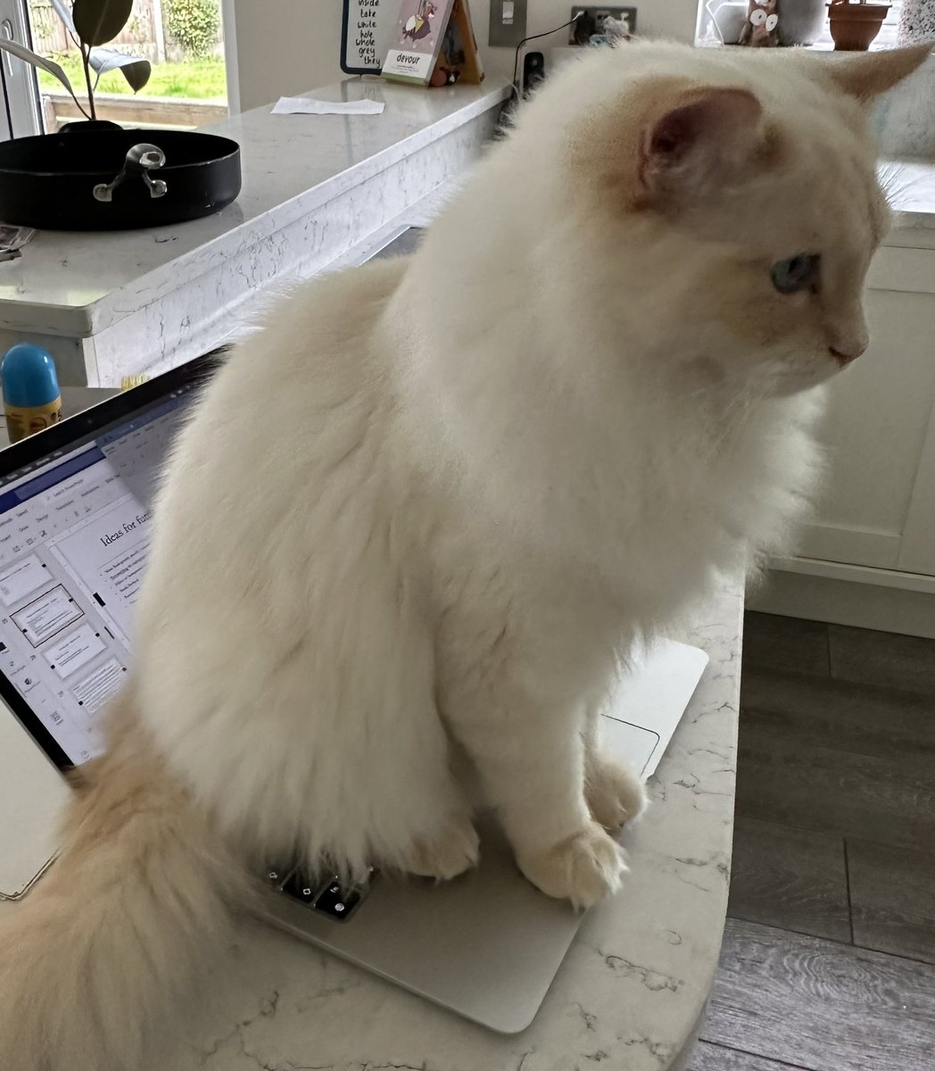 RadDiaryRobot's tweet image. undergrad_rad: Here’s Lucky “helping” me write my part of the presentation of our group research project on Dementia environments. I’m thankful for auto save. 😏 #raddiary #salfordrads