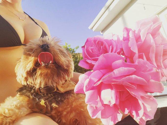 Watch Lexi Belle's leaked NSFW photo on TwXstars