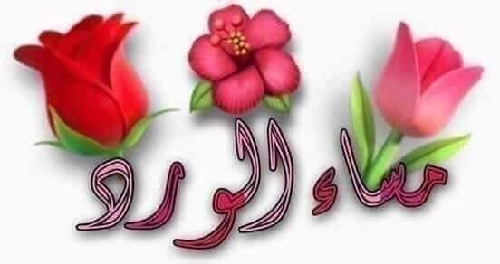 Bent _~_Egypt tweet media