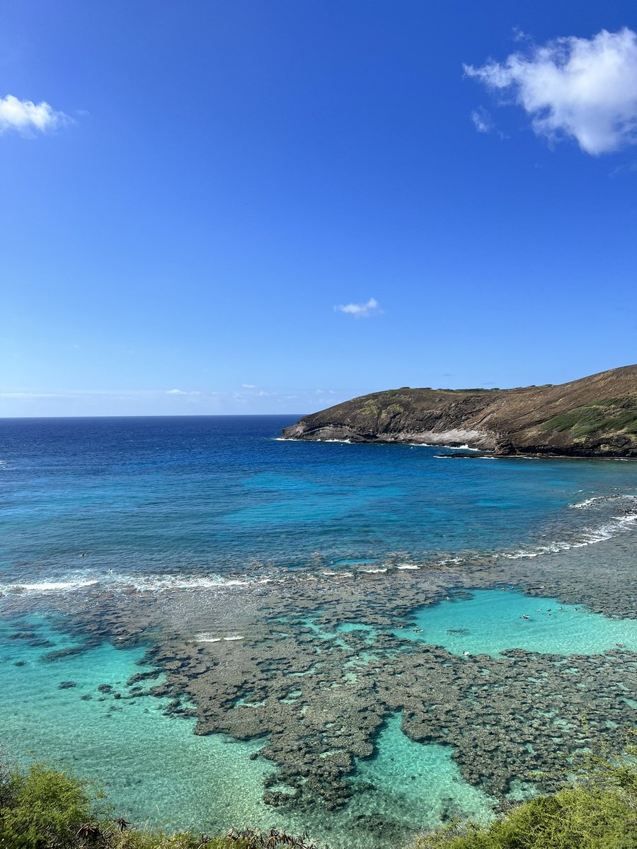 iamlorettachen's tweet image. Aloha ! It’s def summer ☀️ somewhere in the world and def in my ‘hood !!#islandlife #living808 Let’s do our next meet up here GGG ! 🙌🏼🤩😎😛@HanaumaOutreach