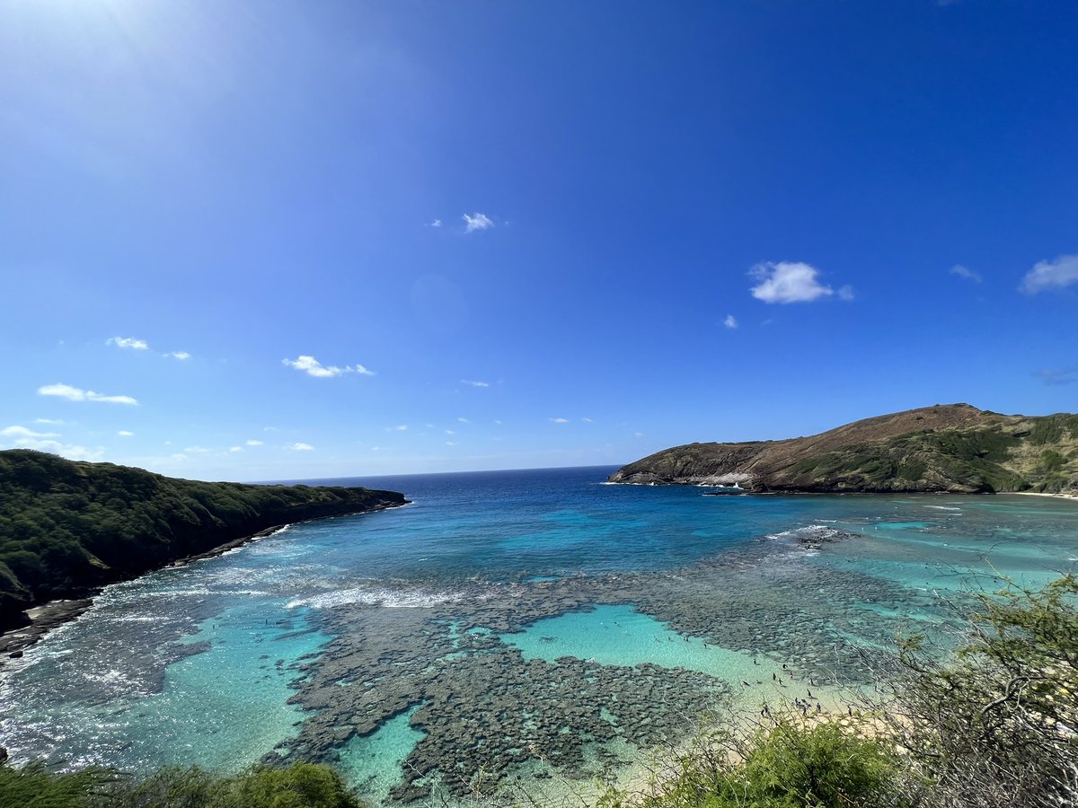 iamlorettachen's tweet image. Aloha ! It’s def summer ☀️ somewhere in the world and def in my ‘hood !!#islandlife #living808 Let’s do our next meet up here GGG ! 🙌🏼🤩😎😛@HanaumaOutreach