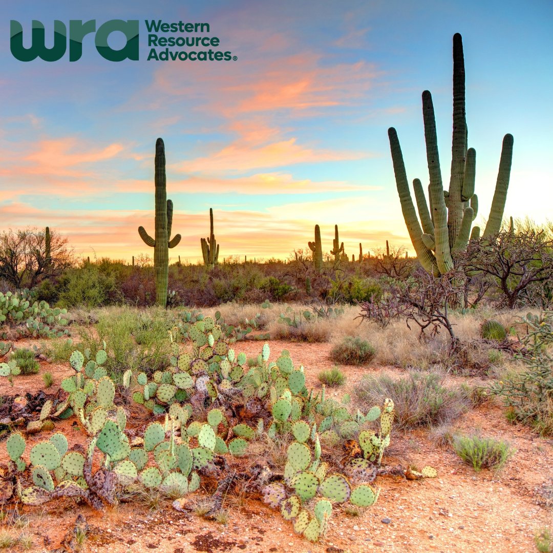 Have you listened to 2 Degrees Out West? 🎧🎙️🎶

Join us for recent discussions on hydrology in the Navajo Nation with Crystal Tulley-Cordova and fostering diversity in fly fishing with Austin Campbell. 

westernresourceadvocates.org/podcasts/