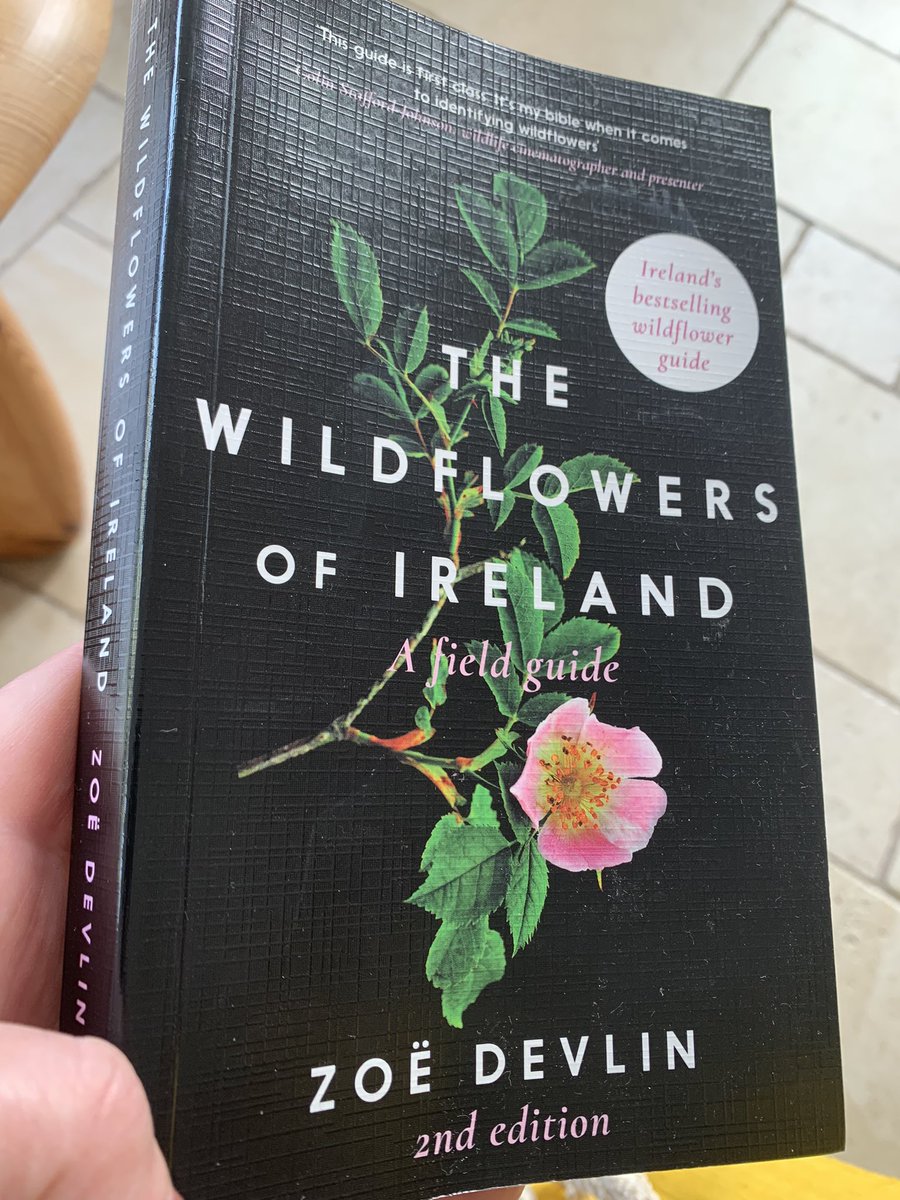 CobhTidy's tweet photo. Such beauty at the #NoMowMay area at the cross river ferry in Cobh. Great to have @zoedev1174 book for identifying them!
#wildflowerhour #pollinators #cobh #pollinatorplan https://t.co/KDQ5Z1qVcp
