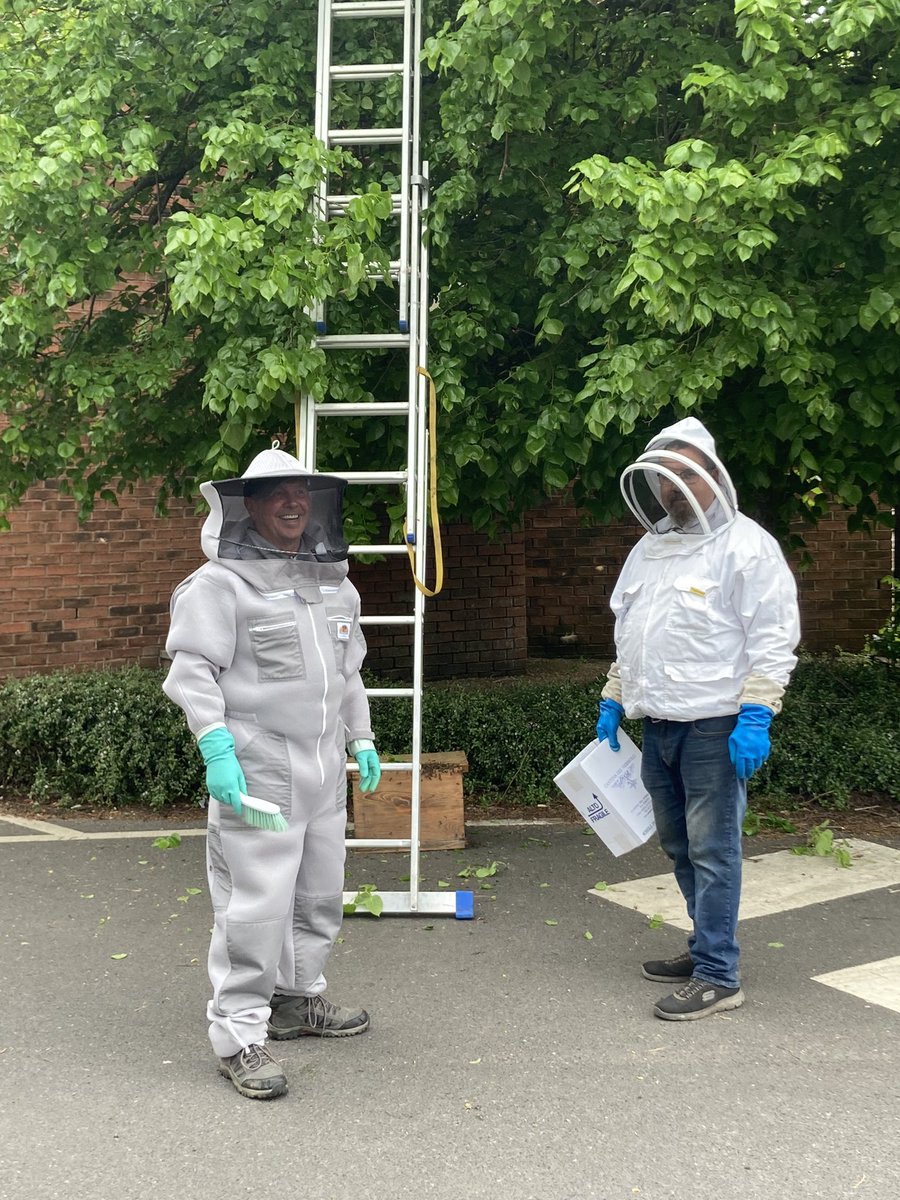 Emergency Bristol beekeepers on a mercy dash to rescue a swarm from a Lyme tree in Westbury park Waitrose car park! Jolly chappies. Angry bees….