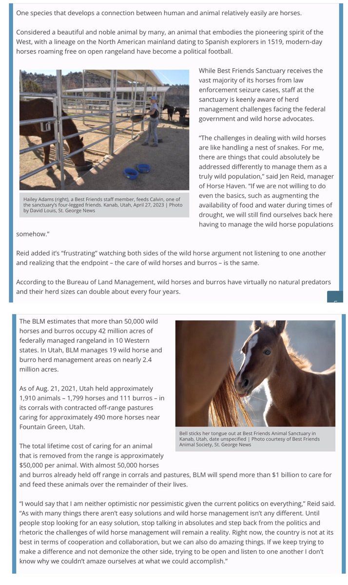 Blueequus775's tweet photo. .@bestfriends: the “easy solution” to the wild horse issue is to get the livestock off what little land they have left that is supposed to be managed for them. And insist BLM manage with science and facts, not under regulatory capture. #FactsMatter https://t.co/4v4CjPzLsK