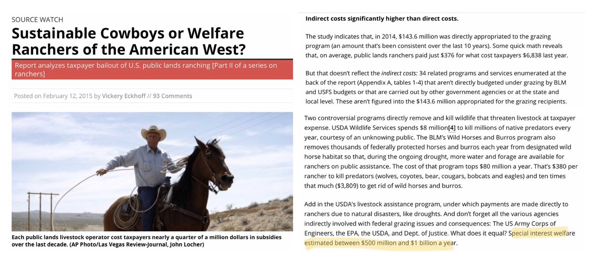 Blueequus775's tweet photo. .@bestfriends: the “easy solution” to the wild horse issue is to get the livestock off what little land they have left that is supposed to be managed for them. And insist BLM manage with science and facts, not under regulatory capture. #FactsMatter https://t.co/4v4CjPzLsK