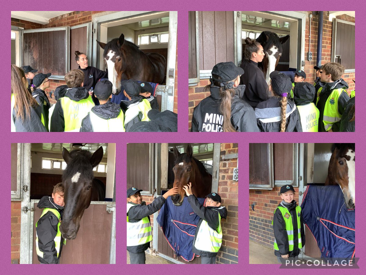 MrsJacoGarston's tweet photo. Mini Police enjoying their trip to the Mounted Police section @GarstonCE @MerPolMounted https://t.co/XYmJr7QrtX