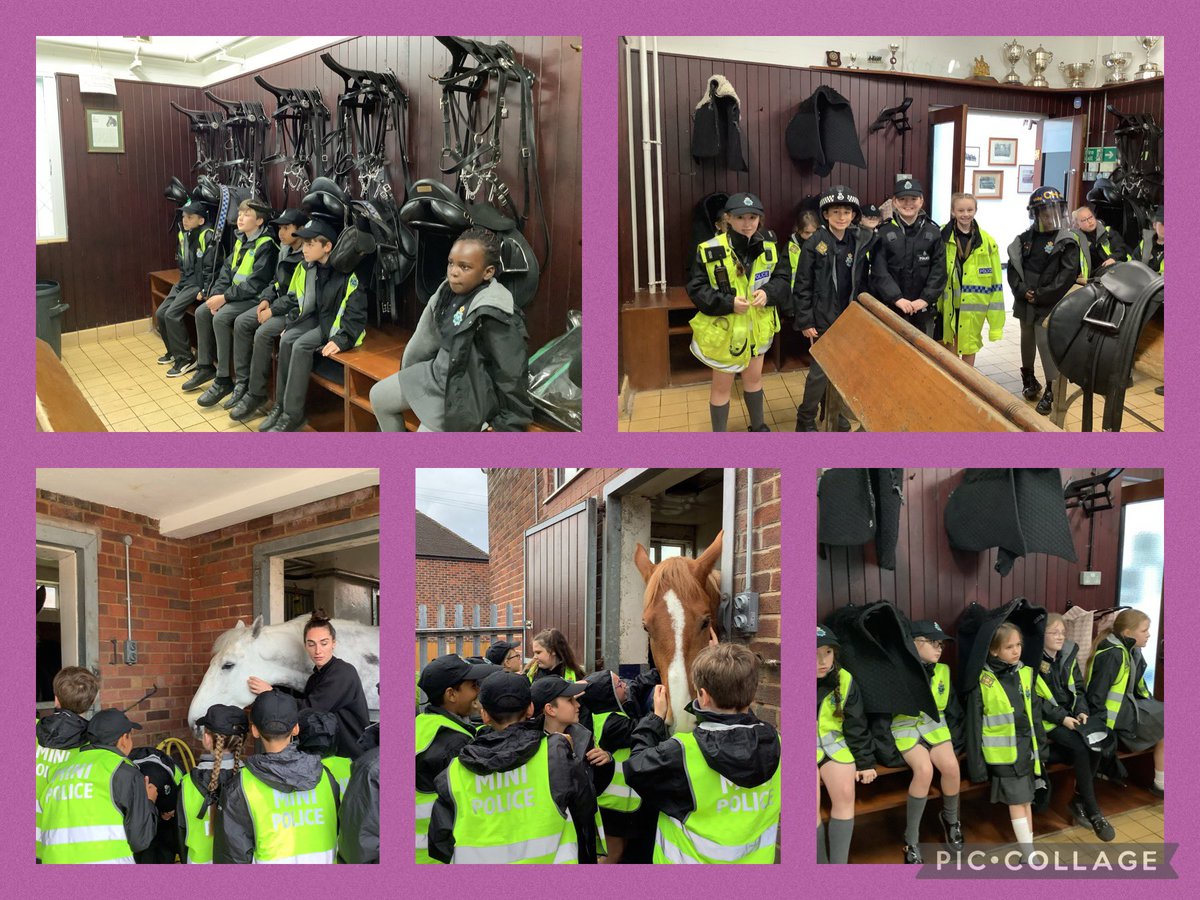 MrsJacoGarston's tweet photo. Mini Police enjoying their trip to the Mounted Police section @GarstonCE @MerPolMounted https://t.co/XYmJr7QrtX