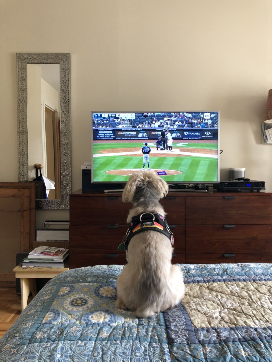 DrYasminKhakoo's tweet image. Weekend ⁦@Yankees⁩ game. #PitchClock #FanForLife #AdventuresWithBennySF