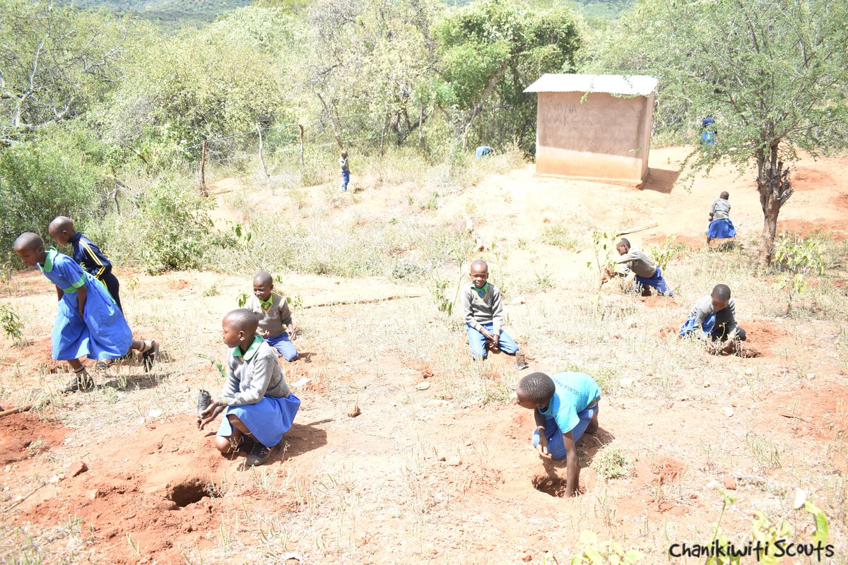 chanikiwiti's tweet photo. This has been the weekend! We planted pawpaw trees, avocado trees, flame trees, tamarind trees and flame trees at Paranga Primary together with the pupils.
#ChanikiwitiScouts
#ProjectGreenHills
#chanikiwitrees https://t.co/ZwP5mFeABp