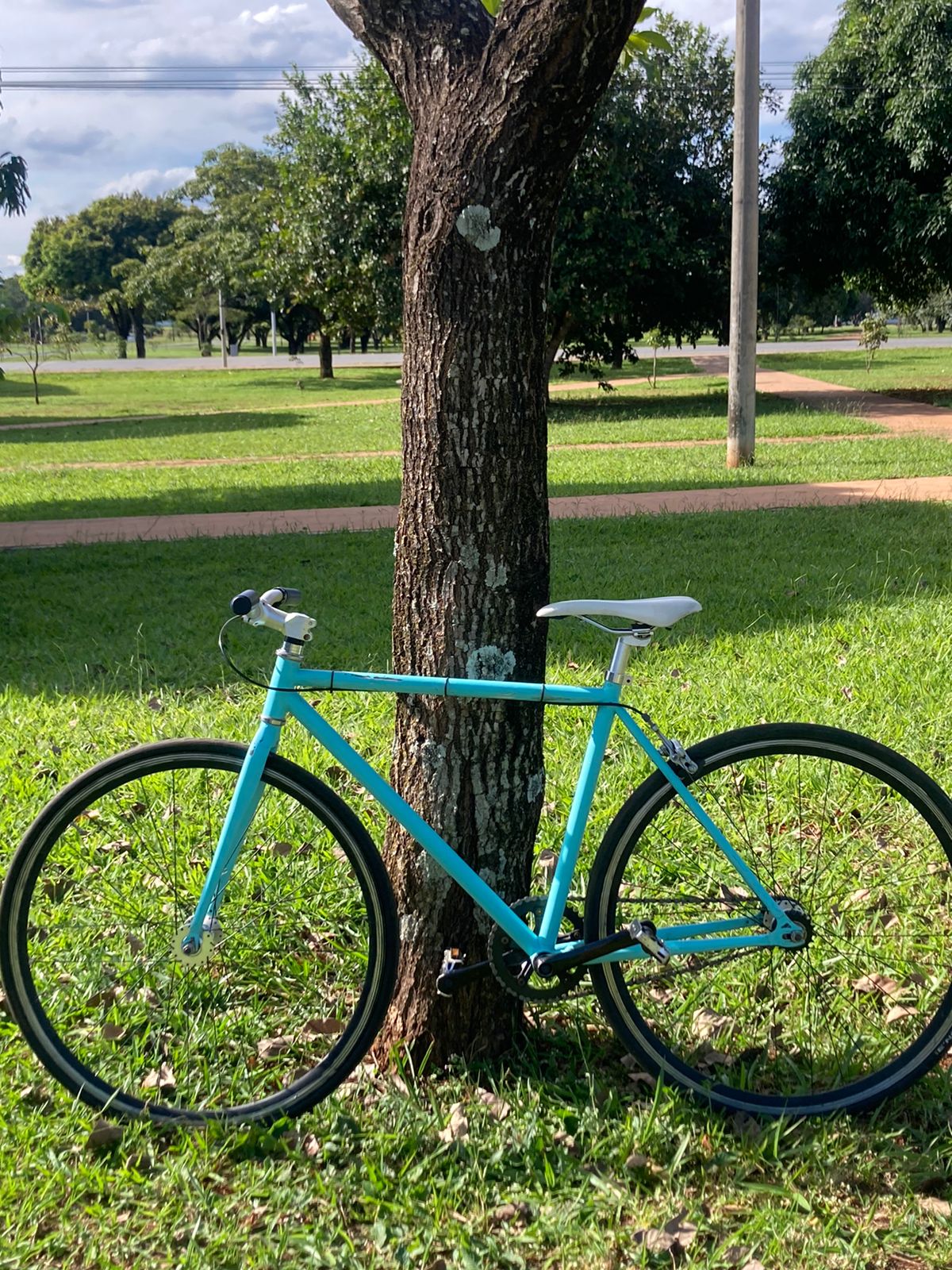 Bicicleta fixie olx hot sale