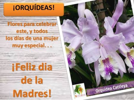 EXPODATO Cursos tweet media