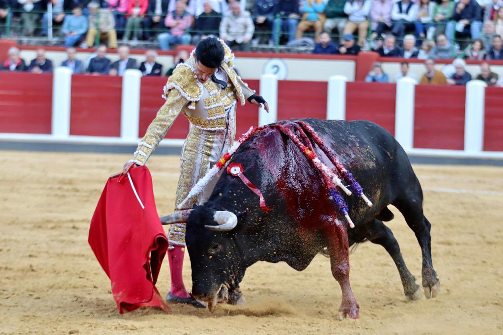 📸 Así ha sido la tarde en la que Emilio de Justo y Roca Rey han triunfado en #Valladolid tras cortar tres orejas cada uno. ¡Mira la galería completa! 👇🏻

➕Galería completa: m.facebook.com/story.php?stor…