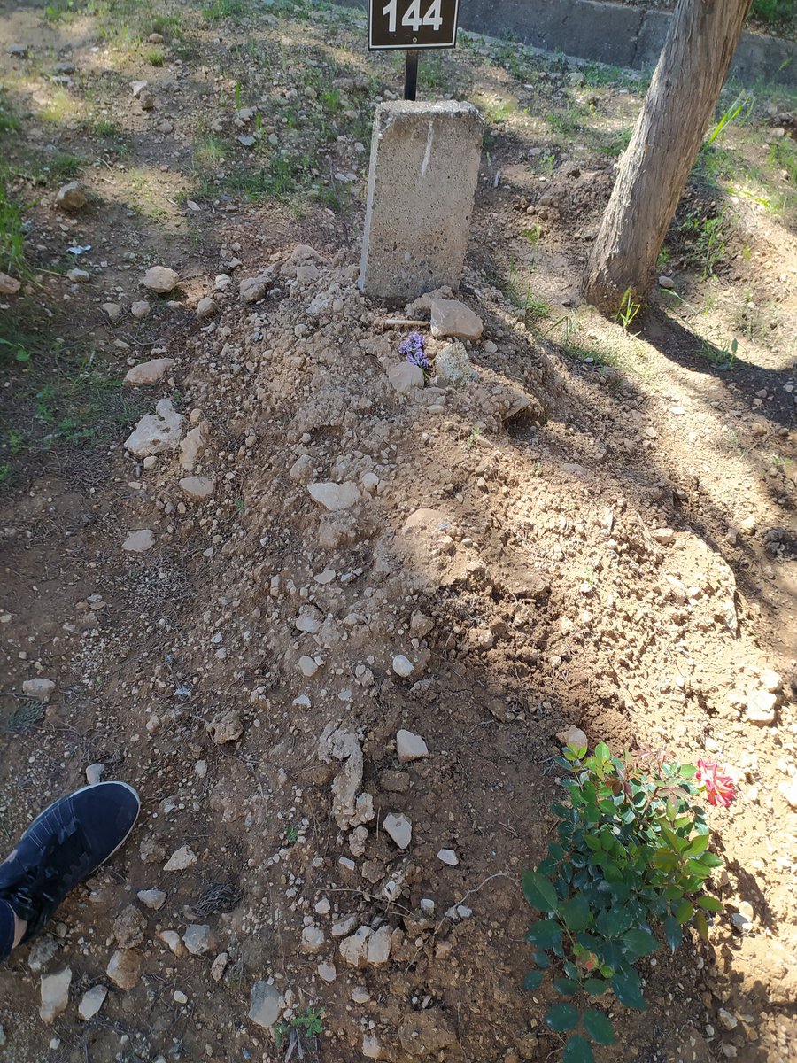 Gencecik insanların mezarından utanın