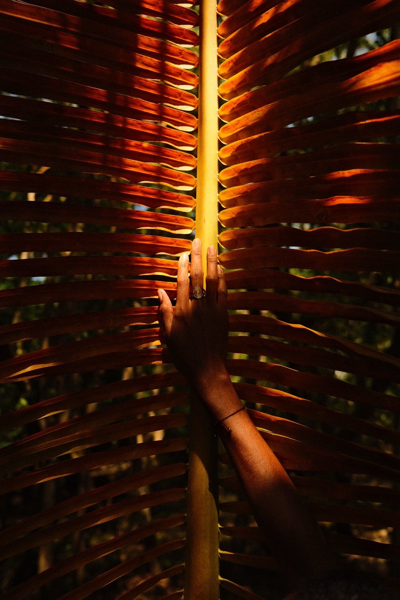 Christina, Anse Mitan (Martinique), novembre 2022.