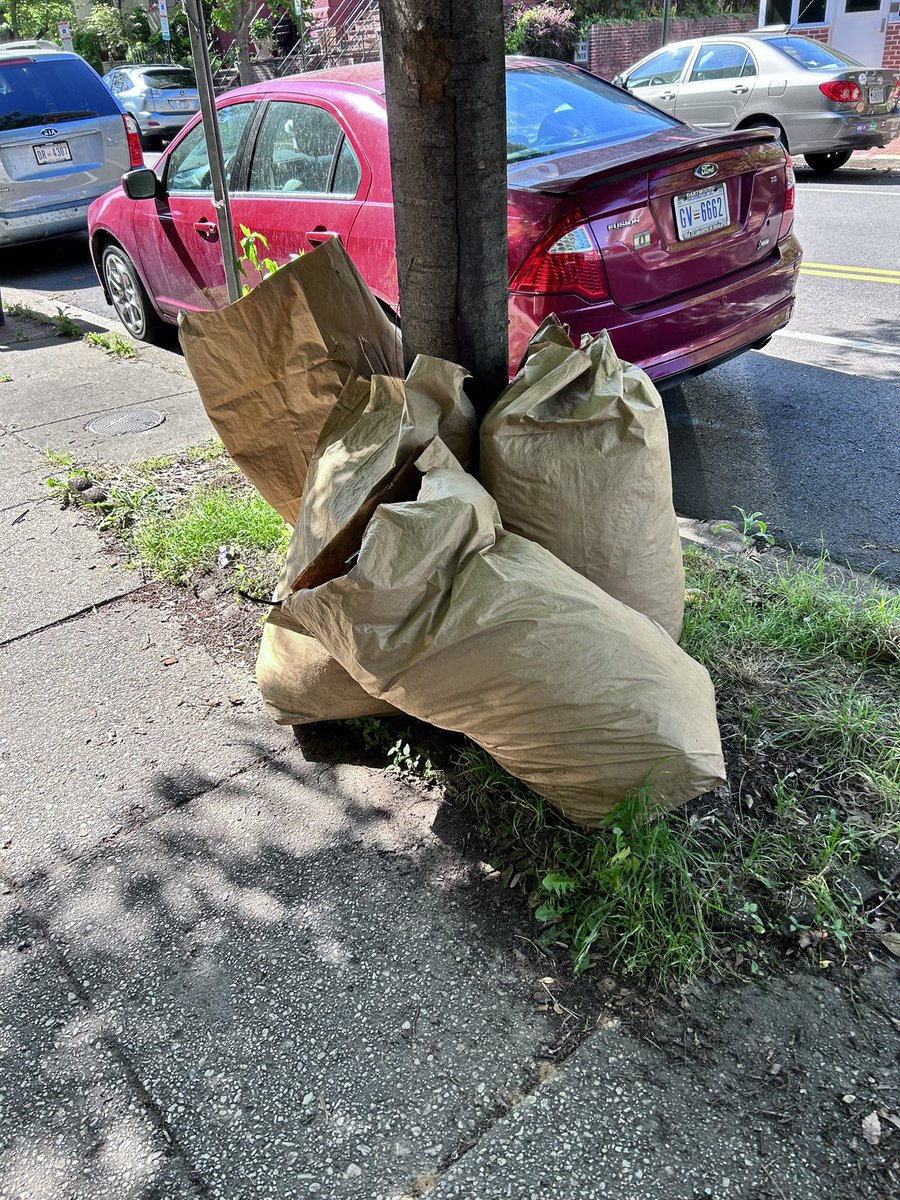 idikland's tweet photo. @311DCgov four bags of leaves need to be picked up. Located in front of 317 C St. NE. Thank you! https://t.co/lOft35Yw5f