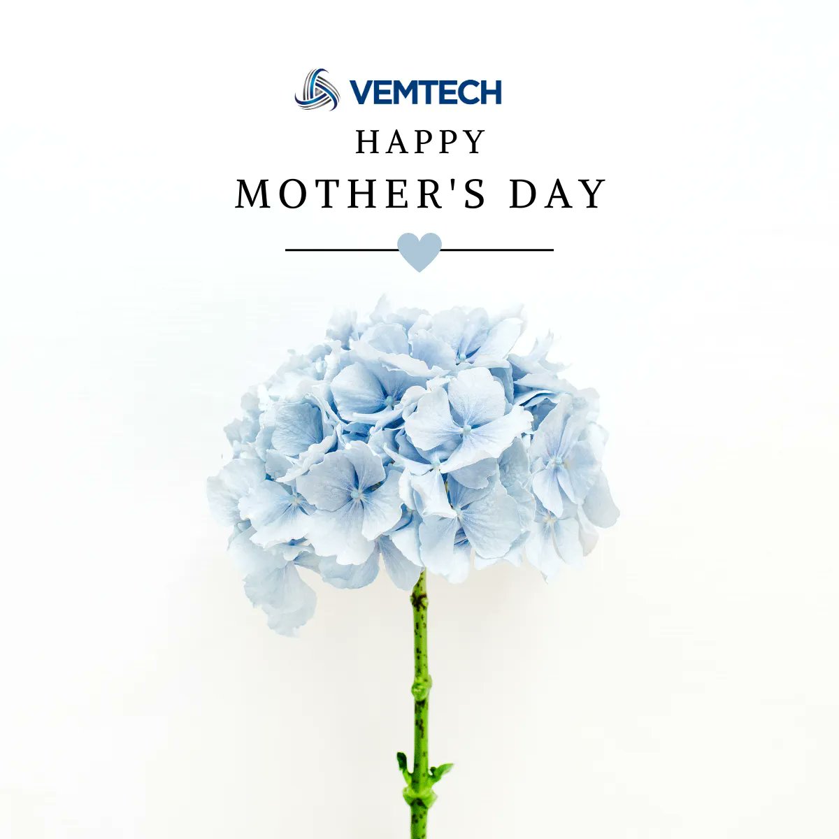 Happy Mother's Day from all of us at #VEMTECH! Wishing every mom love, strength and boundless joy. You're the real tech heroes. 

#HappyMothersDay #VemtechMoms #TechWithHeart #MartinsburgWV #BerkeleyCountyWV #jeffersoncountywv #hagerstownmd #frederickmd  #winchesterva