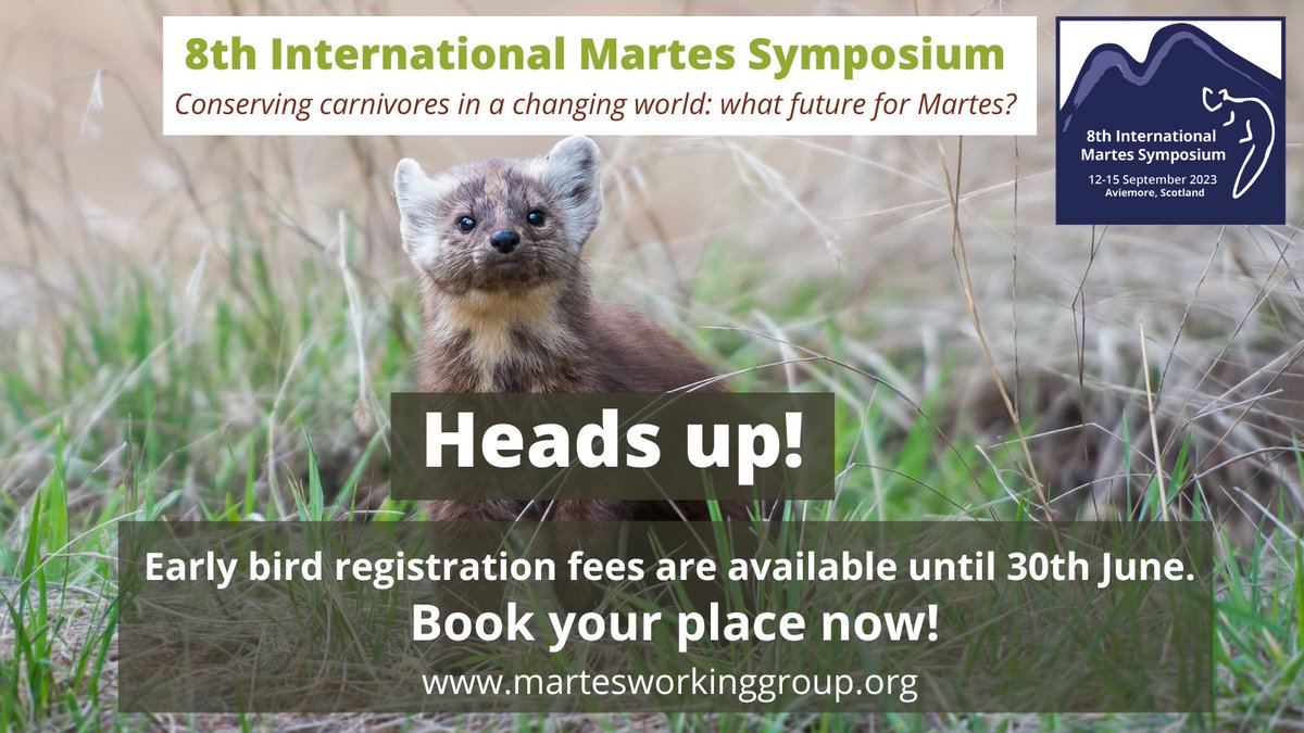 Interested to hear all the latest research and news on Martes species from around the world?

📢 Register now to take advantage of early bird tickets for the 8th International Martes Symposium this September! 

👉 Register at tinyurl.com/2fj93uw5