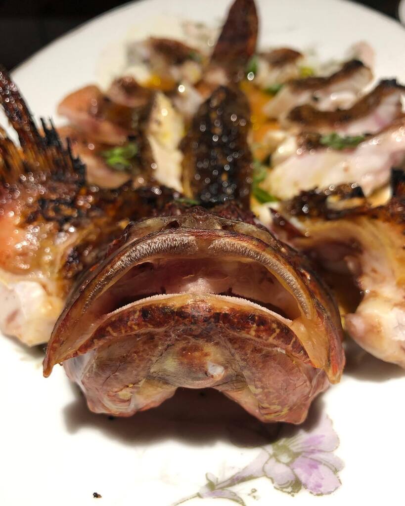 acme_ESP's tweet photo. En @restaurantgresca 

. Cabracho brasa
. #colmenilla #molleja #comté 
. #pizza #espinaca queso #guanciale
.  El famoso #bikini de lomo…
. … y la famosa berenjena lacada 
.  quesos

Informal y divertido
50-60€/pax + bebidas
🌟🌟🌟 https://t.co/jqqVtKgcbJ https://t.co/VEUtKS7035