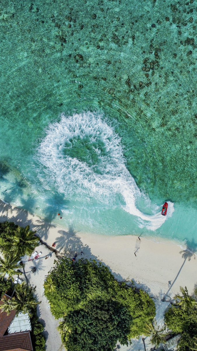 Looking to try something new on your holiday? Try our favourite - jetski at @sabbabeachhotels 😍
📧 hello@sabbatravels.com
.
.
#fodhdhoo #mamdives #sabbasummersuite #sabbabeachsuite #sabbabeachvillasandspa #sabbawhitesandcatamaran #watersports #travel #beach #paradise