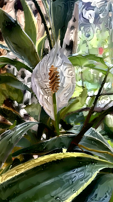 braddockw's tweet photo. New artwork for sale! - "Mysterious Jungle - White Flower" - https://t.co/fOwdKTaObE @fineartamerica https://t.co/FosVmr0bdU