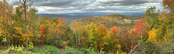 braddockw's tweet photo. New artwork for sale! - "Draper Mountain Outlook" - https://t.co/4SNwyIre5h @fineartamerica https://t.co/0GEr4hffd4