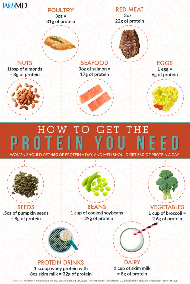 Everybody needs protein. Here's how to get the protein you need: wb.md/3M3rgef