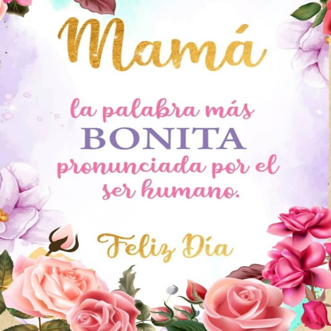 #DíaDeLaMadreEnAmor

ETIQUETA 🔖 DEL DIA

VENEZUELA 🇻🇪 

TWITEROS DE LA PATRIA

<a href="/SoyYolit2/">Yolimar</a> <a href="/05_Villasmil/">Ivan Villasmil</a> <a href="/Fredd22_/">Freddy</a> <a href="/Alcidess44/">Alcides</a> <a href="/Aury12_/">Auriangelis🌸</a> <a href="/azubarbeba2/">Azubar Dudamel</a> <a href="/pelusat647/">Pelusa</a> <a href="/cambar_adrian/">Adrián cambar</a> <a href="/Ronal4825/">dobleRR</a> <a href="/MaianaNoguera/">Maianabelenvolvio</a> <a href="/estr3mao1411/">🇻🇪☕Vicente Flores☕🇻🇪</a> <a href="/rus_ito/">🌊🐬🐬Rusito🇻🇪❤️</a> <a href="/yenny_escorche/">tuitero de Aragua</a> <a href="/jesus372333/">mildre</a> <a href="/chande5035/">chande</a> <a href="/EGMorenoR/">Esio Moreno</a>
