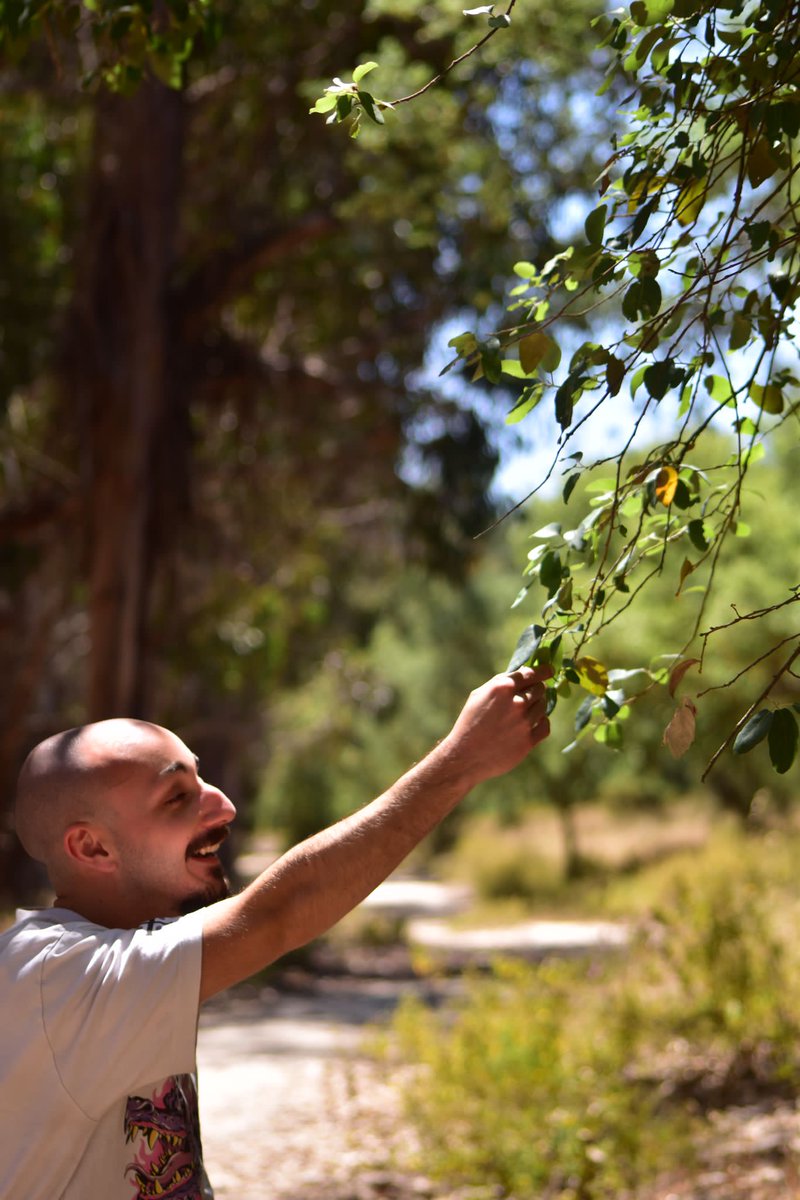 Não é que normalmente meta aqui fotos, but this is just pure gold, I had to.
Thank youu <a href="/idk_fuck_this/">beaa🌿</a> por estas fotos incríveis, even though a sessão fotográfica foi para ti - you're the best <33

(also, essa última parece imenso uma foto do Shutterstock 😂)
