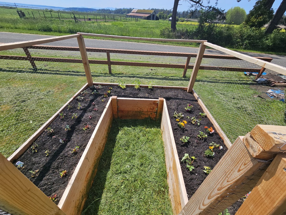 cueteDeCerro's tweet photo. Fresas, Kale, Brócoli, Lechuga 😋 https://t.co/K6oK9l7oyE