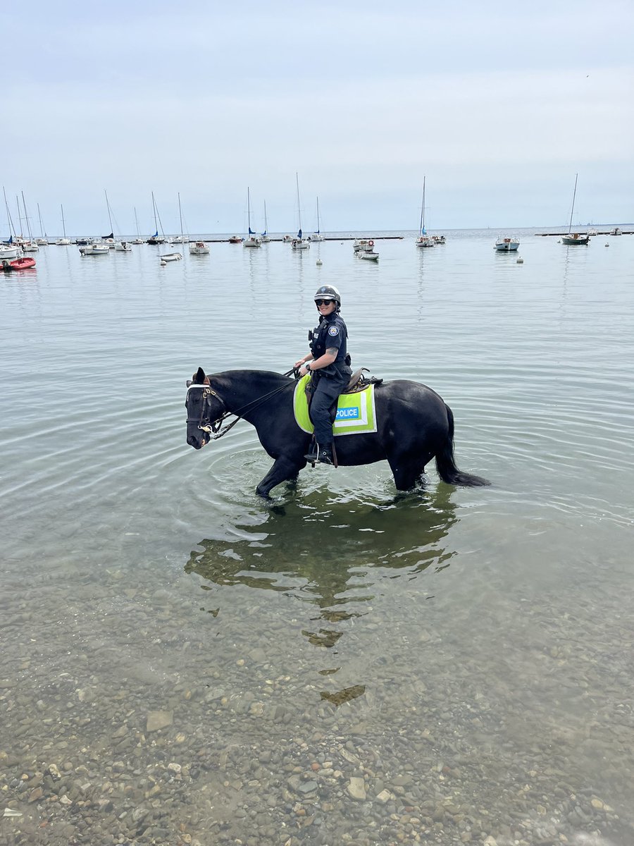 TPSMounted's tweet photo. #PHSutherland would like to wish all those amazing Moms out there a wonderful Mother’s Day. Thank you for your contribution to raising amazing humans.  There’s a lot of us out there…☺️👍#MothersDay2023 https://t.co/90vPy3b9To