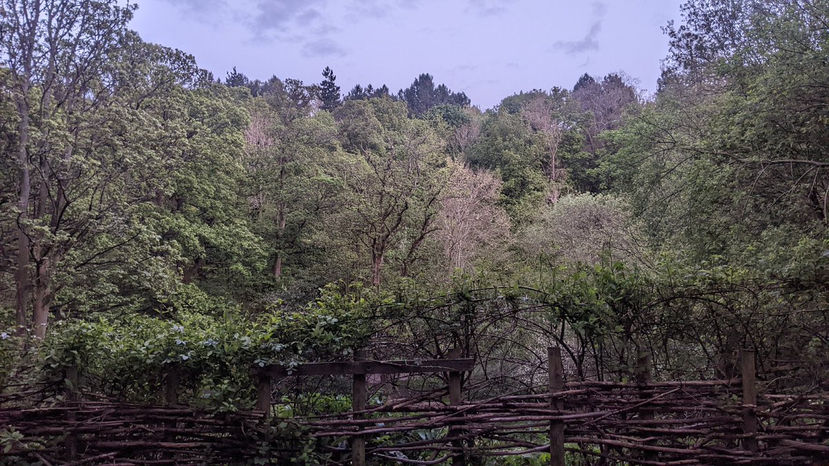 TheGurgComplex (@thegurgcomplex) on Twitter photo 