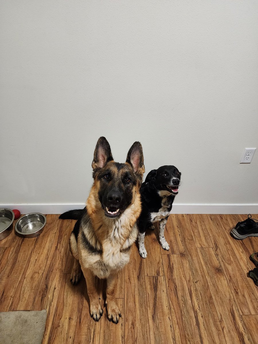 Roughneck Miner tweet media