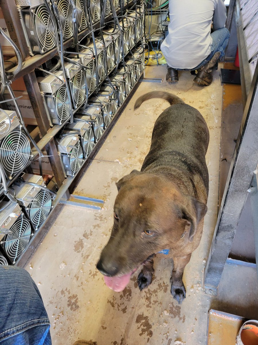 Roughneck Miner tweet media