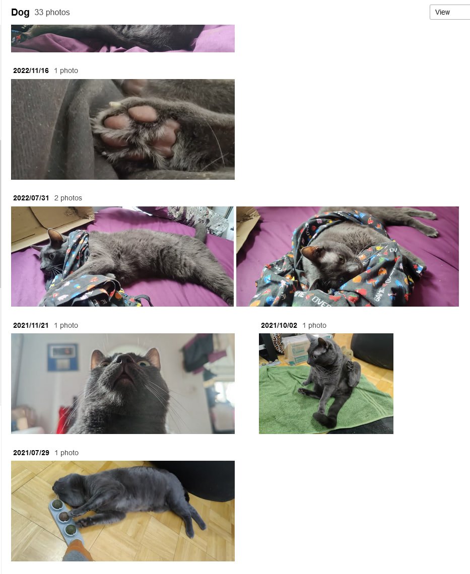 JayOttr's tweet photo. Just look at all of these quality DOG photos! ¦D https://t.co/MnxdAVjXXT
