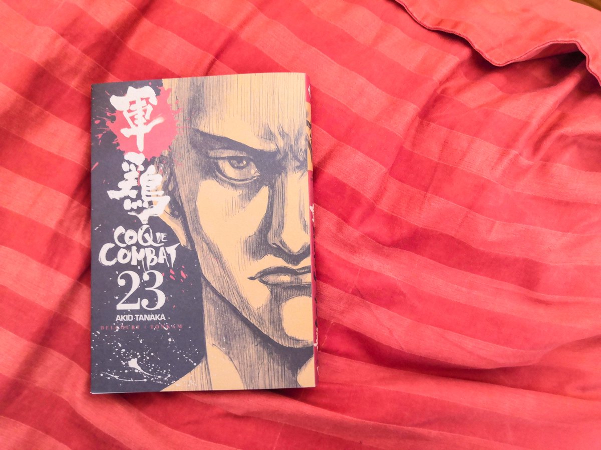 Lecture tranquille sur l'oreiller.  #manga #japon #coqdecombat #powerofstories #books