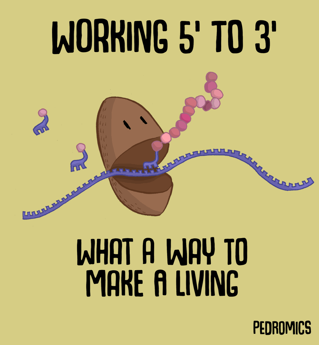 Pedromics tweet media