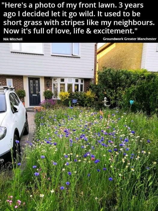 Reply with flowers 🌸🌺🌻🐝🦋 if you want to see your city or town ditch the overly manicured green space and embrace some healthy biodiversity instead! 

What are some of the native plants you've grown as alternatives to the traditional lawn? 🤔 #NoMowMay act.gp/41pVjSE
