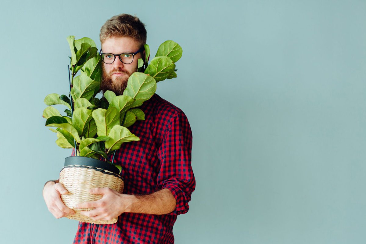 G2GMinistries's tweet photo. The Perfect Houseplant for Your Astrological Sign https://t.co/sq7e0Izgsr https://t.co/8er2y8M5Ei